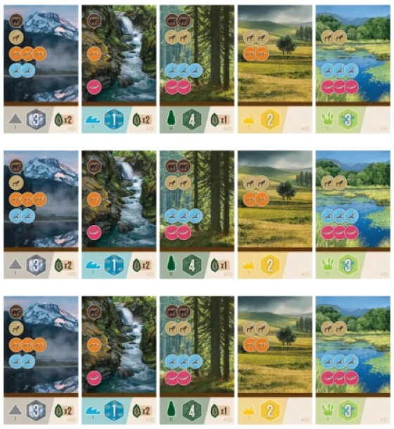 Cascadia Junior - Juego De Mesa Educativo Para 2-4 Jugadores | Cuotas sin interés Cascadia Junior - Juego De Mesa Educativo Para 2-4 Jugadores | Cuotas sin interés